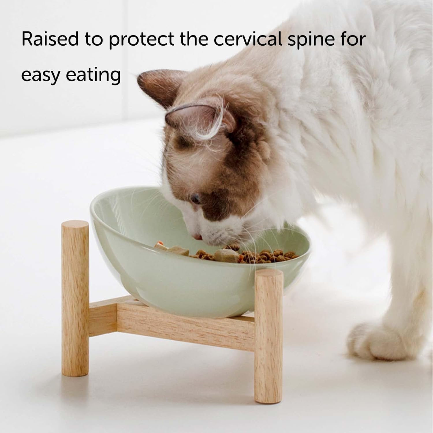 Elevated Ceramic Cat Bowl with Wooden Stand — Anti-Slip