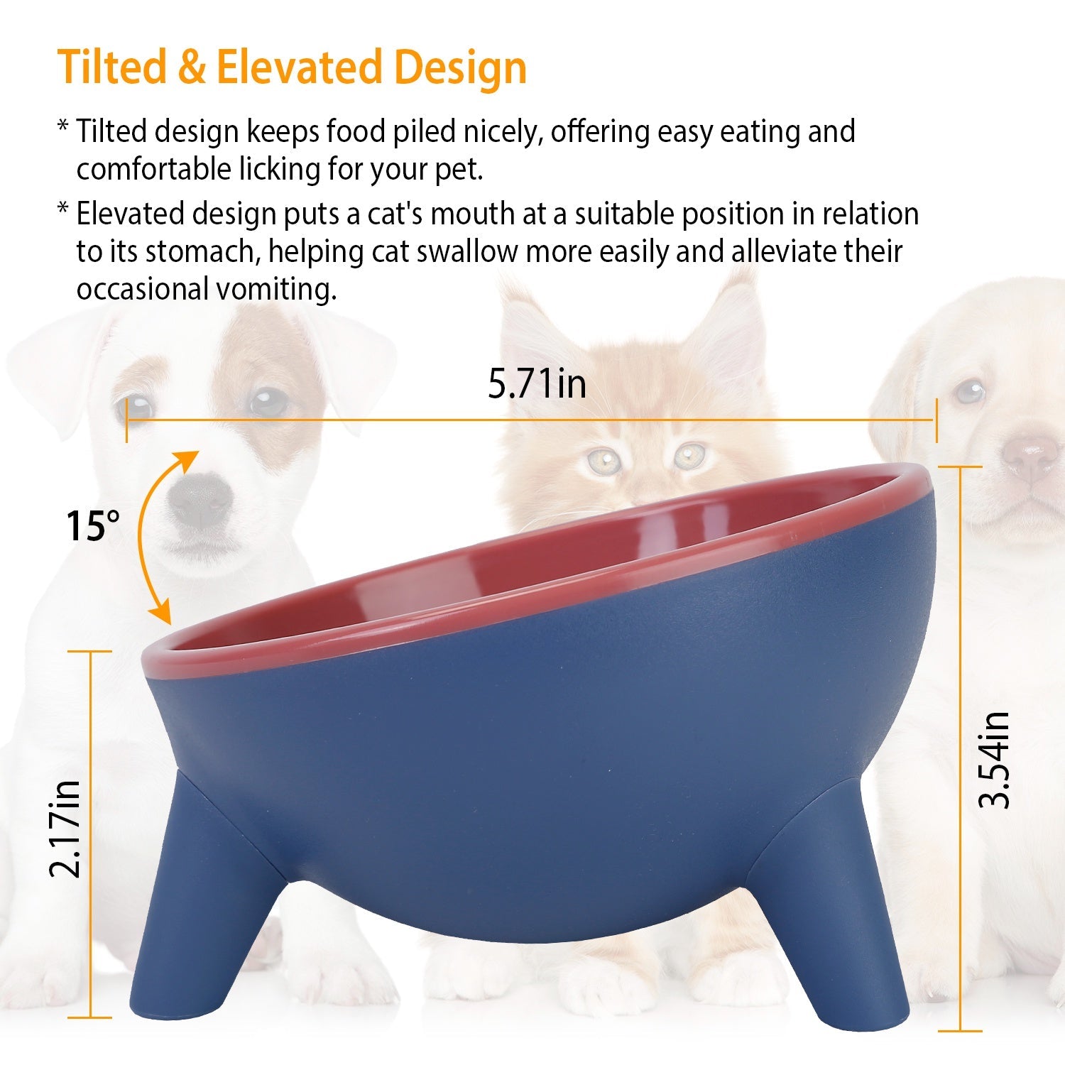 Elevated Tilted Cat Food & Water Bowl — Backflow Prevention