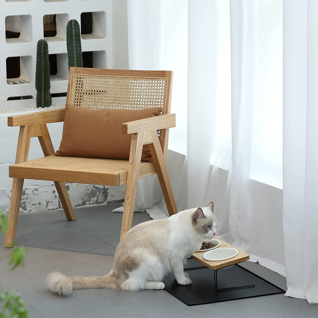Tall Ceramic Cat Water Bowl with Bamboo & Iron Stand