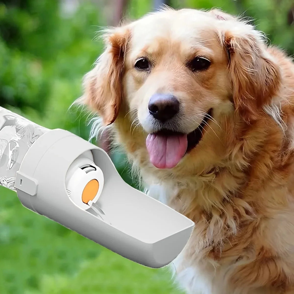 Portable Dog Water Bottle — 750ml Travel Dispenser for Walks & Hiking